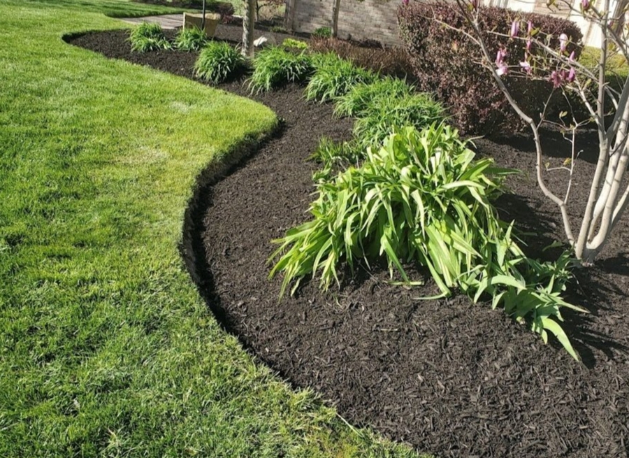 Curved garden bed with fresh mulch and perennial plants after thorough spring cleanup
