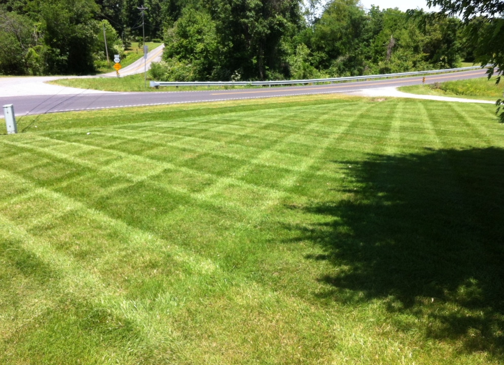 Large striped lawn area next to road with mature trees after complete seasonal cleanup